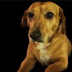 Ersteller:in Denise Profilbild