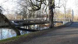 Hundeauslaufgebiet-Bürgerpark-Bild