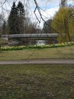 Hundeauslaufgebiet-Bürgerpark-Bild