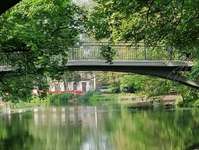 Hundeauslaufgebiet-Bürgerpark-Bild