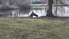 Hundeauslaufgebiet-Bürgerpark-Bild