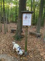 Hundeauslaufgebiet-Leistruper Wald-Bild