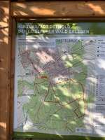 Hundeauslaufgebiet-Leistruper Wald-Bild