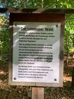 Hundeauslaufgebiet-Leistruper Wald-Bild