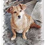 Ersteller:in Tanja Profilbild