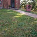 Wohin man sieht - Hundehaufen-Beitrag-Bild