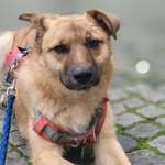 Ersteller:in janine Profilbild