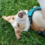 Ersteller:in Tanja Profilbild