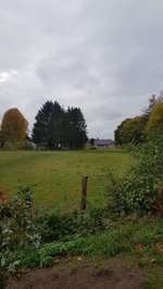 Hundeauslaufgebiet-Hundewiese Bargfeld-Stegen-Bild