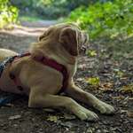 Ersteller:in Paula Profilbild