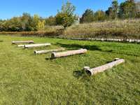 Hundeauslaufgebiet-Agility Platz Aschheim-Bild