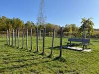 Hundeauslaufgebiet-Agility Platz Aschheim-Bild