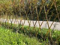 Hundeauslaufgebiet-Agility Platz Aschheim-Bild