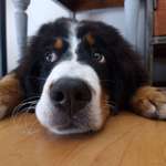 Ersteller:in Anne Profilbild