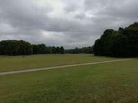 Hundeauslaufgebiet-Beethovenpark-Bild