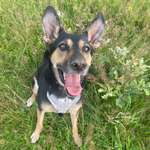 Ersteller:in Vanessa Profilbild