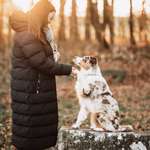 Ersteller:in Vanessa Profilbild