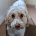 Ersteller:in Barbara Profilbild