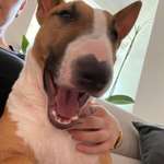 Ersteller:in Anna Profilbild