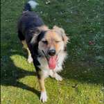 Ersteller:in Larissa Profilbild