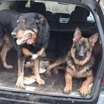 Ersteller:in Daniela Profilbild