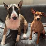 Ersteller:in Bastian Profilbild