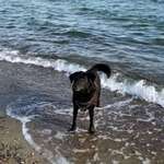 Ersteller:in Petra Profilbild