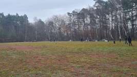 Hundeauslaufgebiet-Lingen-Bild