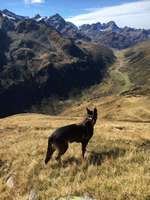 Berg- und Schneeschuhtouren-Beitrag-Bild