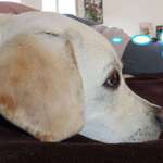 Ersteller:in Elena Profilbild