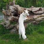 Ersteller:in Kerstin Profilbild