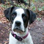 Ersteller:in Sabine Profilbild