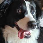 Ersteller:in Henrik Profilbild