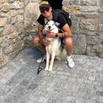 Ersteller:in Paulo Profilbild