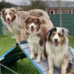 Ersteller:in Leonie Profilbild