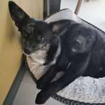 Ersteller:in Kerstin Profilbild