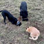 Ersteller:in Mimi Profilbild