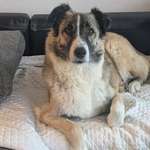 Suchmeldung-Sky-Bild