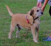 Suchmeldung-Sally-Bild