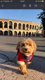 Suchmeldung-Marci-Bild