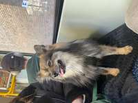 Suchmeldung-Bounty-Bild