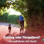 Ist es okay, den Hund neben dem (E-)Bike laufen zu lassen – oder ist das Tierquälerei? 🤔-Beitrag-Bild