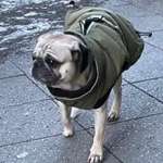 Suchmeldung-Duplo-Bild