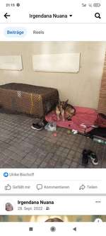 Suchmeldung-Callisto (Cali)-Bild