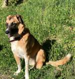 Suchmeldung-Rio-Bild