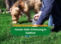 Hunde-DNA-Registrierung, kann man so Hundekot vermeiden und ggf. auch Giftköder verhindern?-Beitrag-Bild