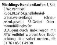 Suchmeldung-Bennie-Bild