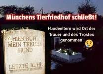 💔 Tiergräber einfach weg?! München schließt seinen Tierfriedhof – und nichts kann getan werden.-Beitrag-Bild