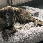 Suchmeldung-Nouha-Bild