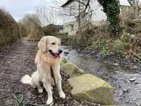 Suchmeldung-Nacho-Bild